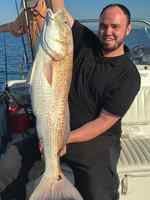 James Lightsey Sargent (1.5 miles offshore past Mitchell's cut) - 39" redfish CPR, caught on menhaden