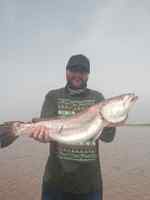 Josh Allen Sargenttrout