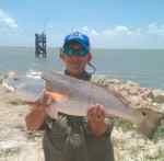Will Lau Seadriftredfish