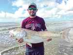 Nate Vrana Crystal Beach, Bolivar - 44" bull red