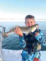 Hayes Ledger 19" trout