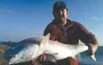 Austin Apicella Port Aransas40&quot; red