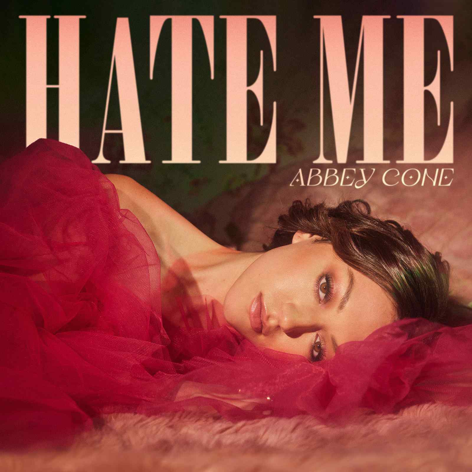 Hate Me by Abbey Cone