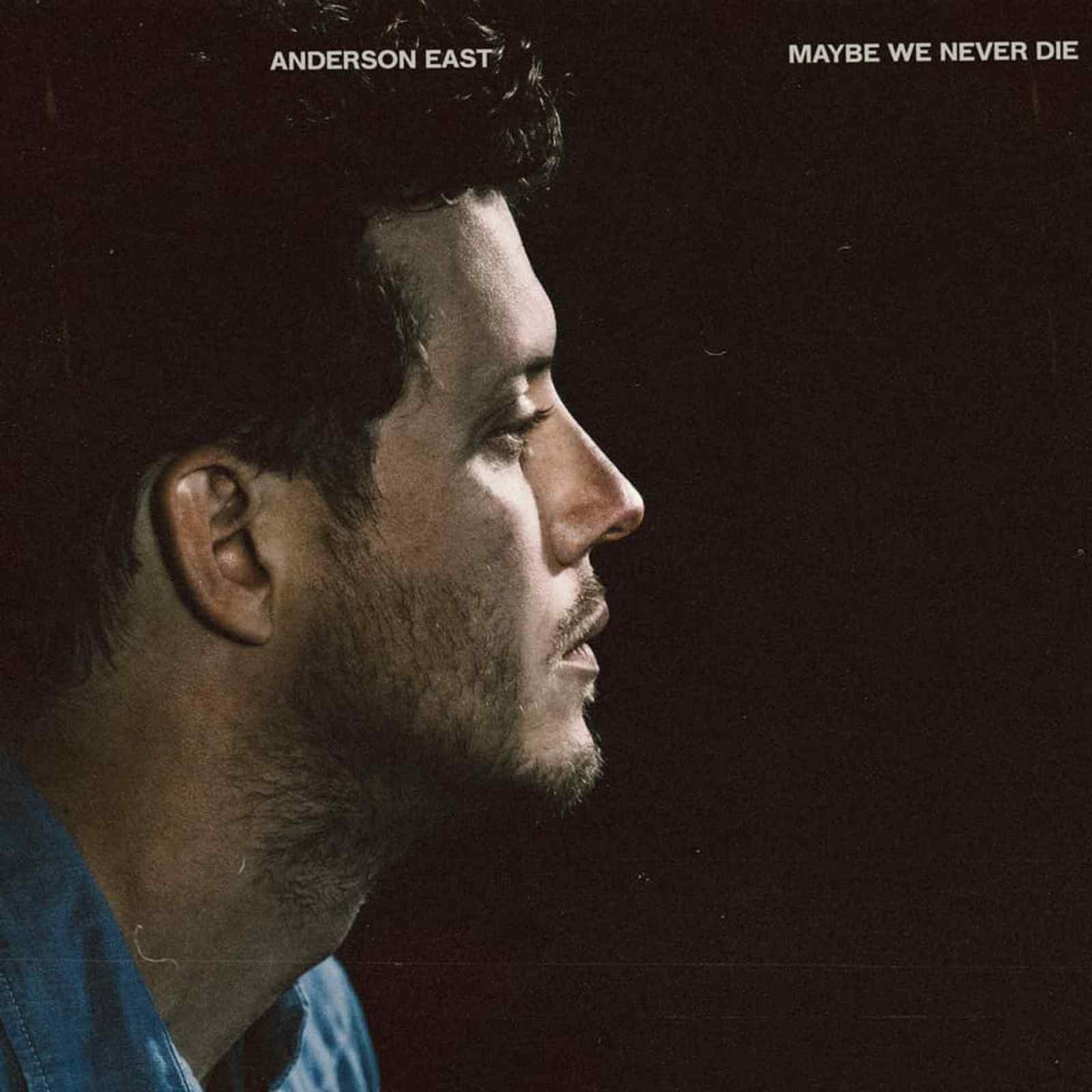 Maybe We Never Die by Anderson East