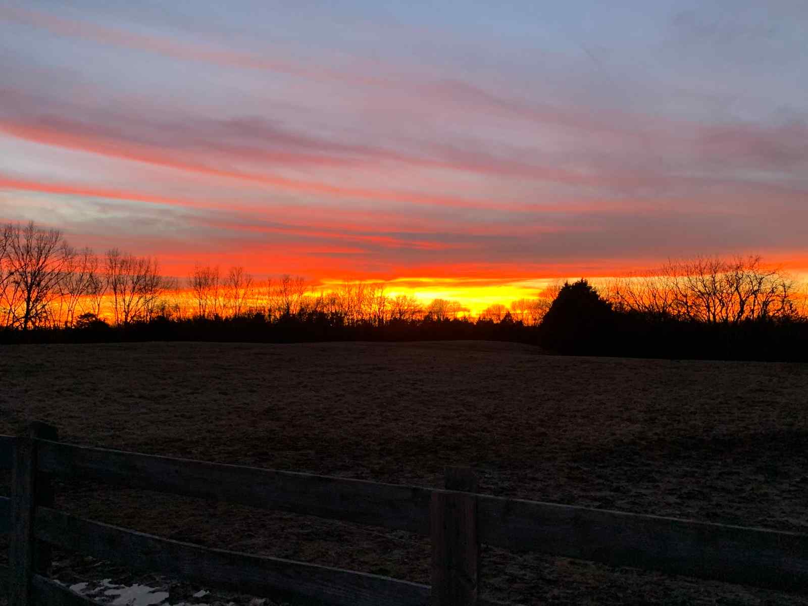 2019: Last Christmas