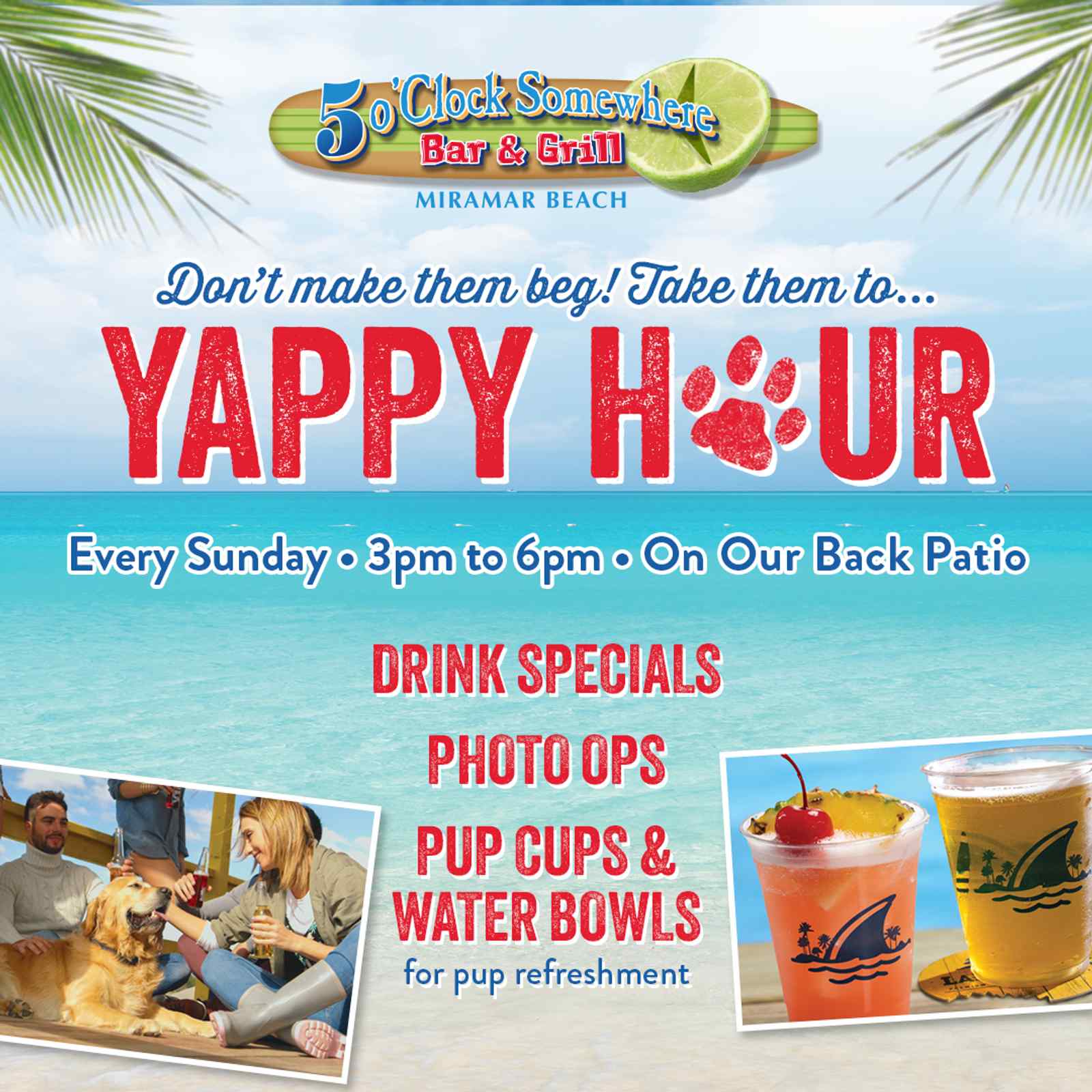 3:00-6:00pm : Yappy Hour