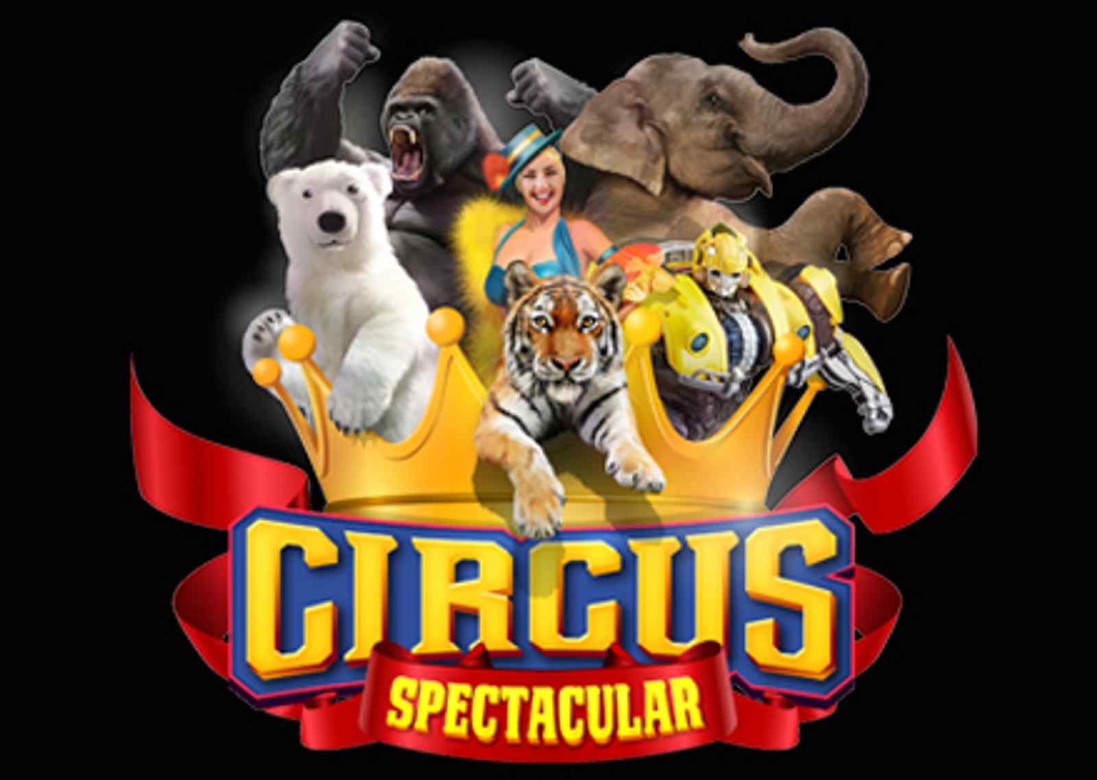 Carden International Circus