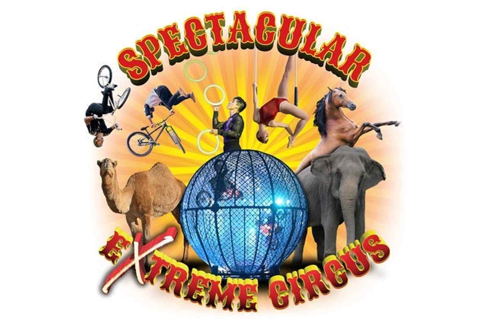 Carden International Circus Spectacular