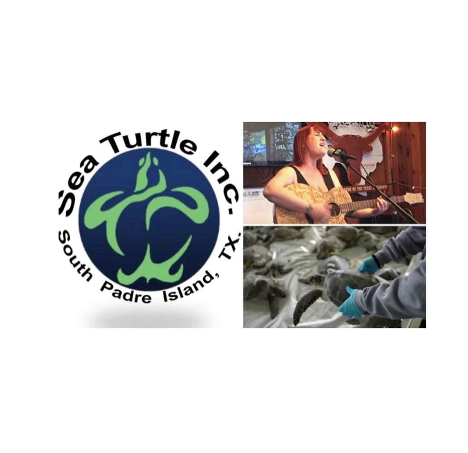 Sea Turtle Rescue and Rehabilitation