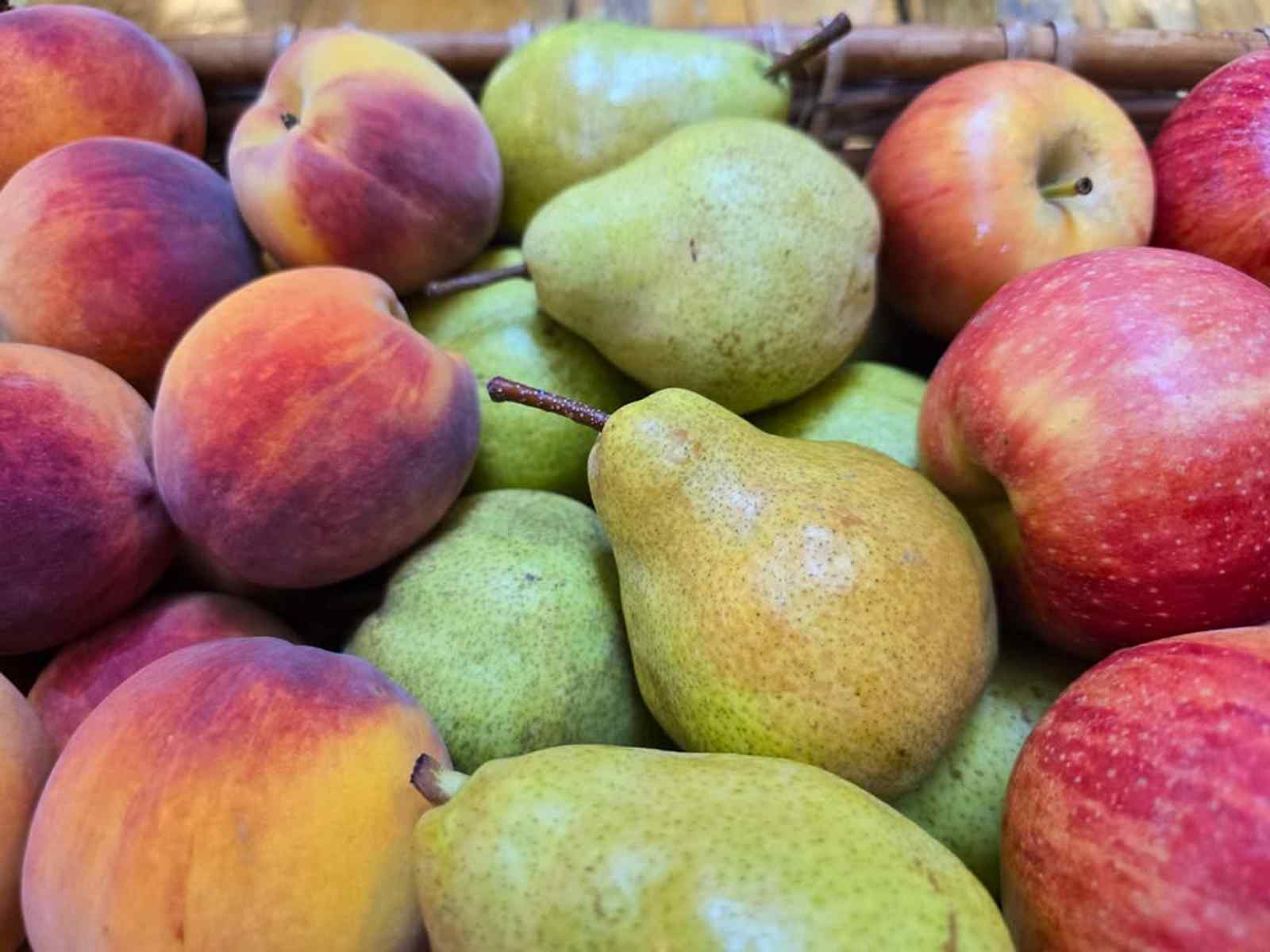 Field Trip: Meadowlark Farm