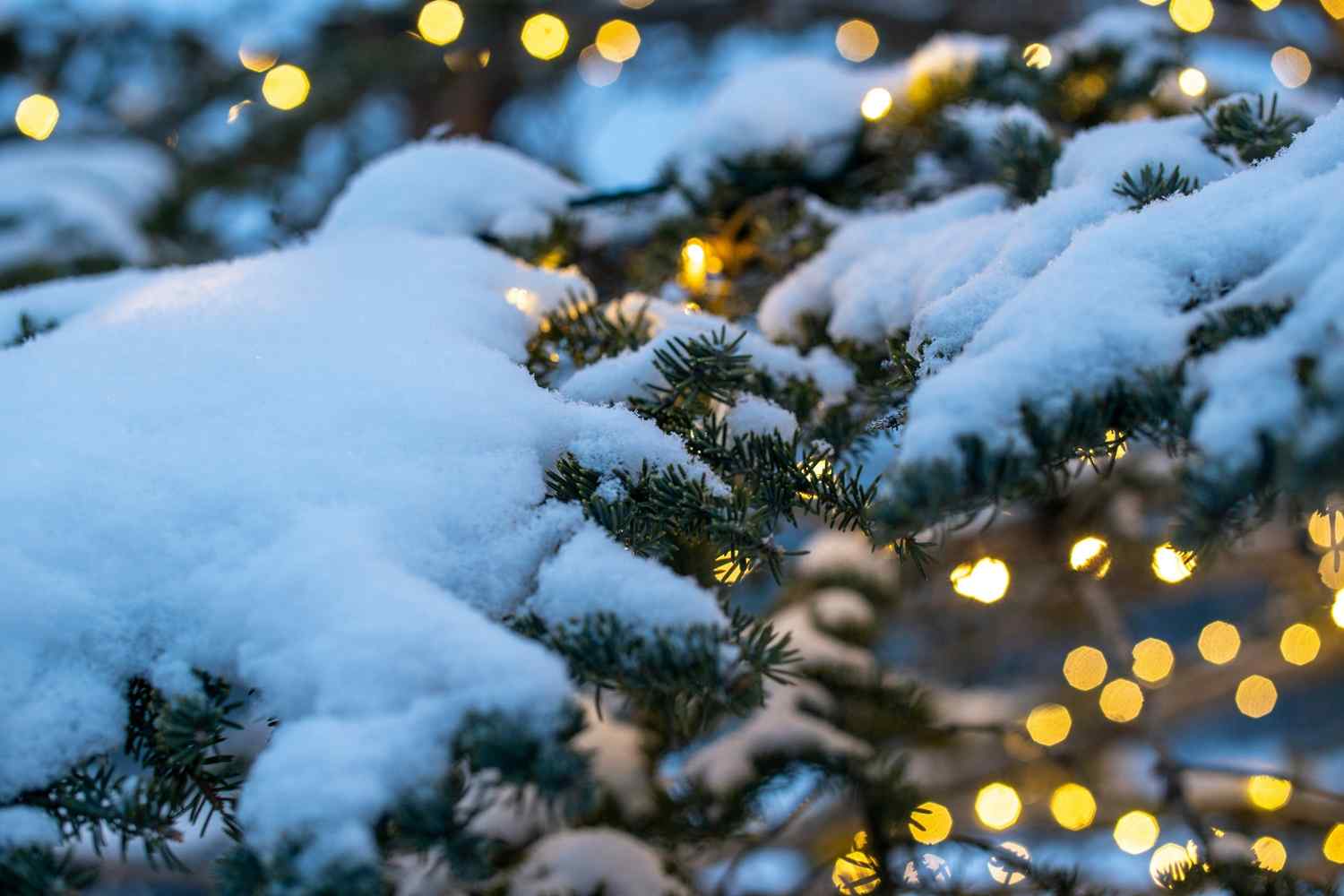 10 Years Together, A Winter Solstice Celebration