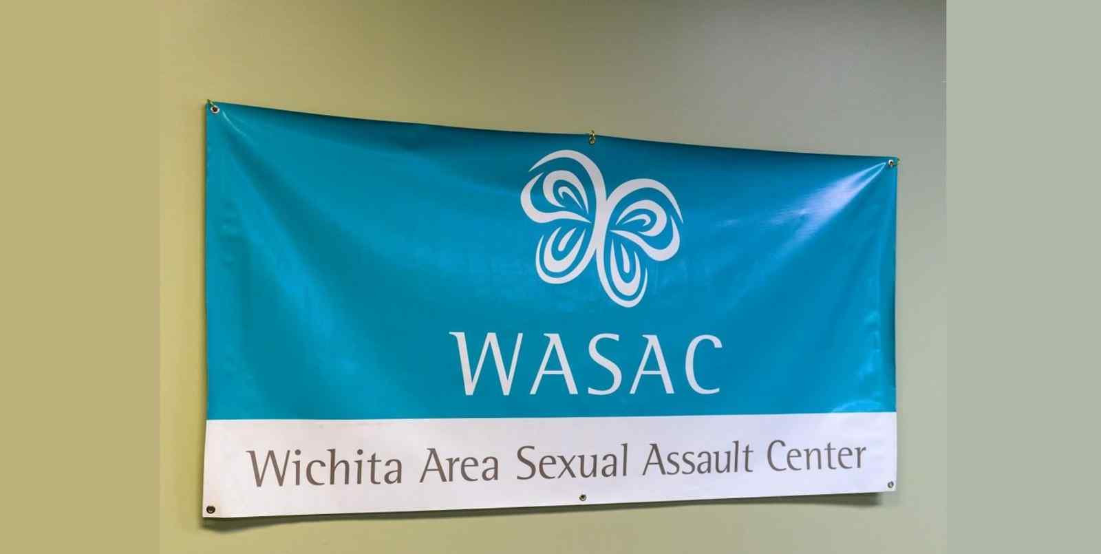 Sexual Violence 101 and Supporting Disclosure with Cammie Goen (WASAC)