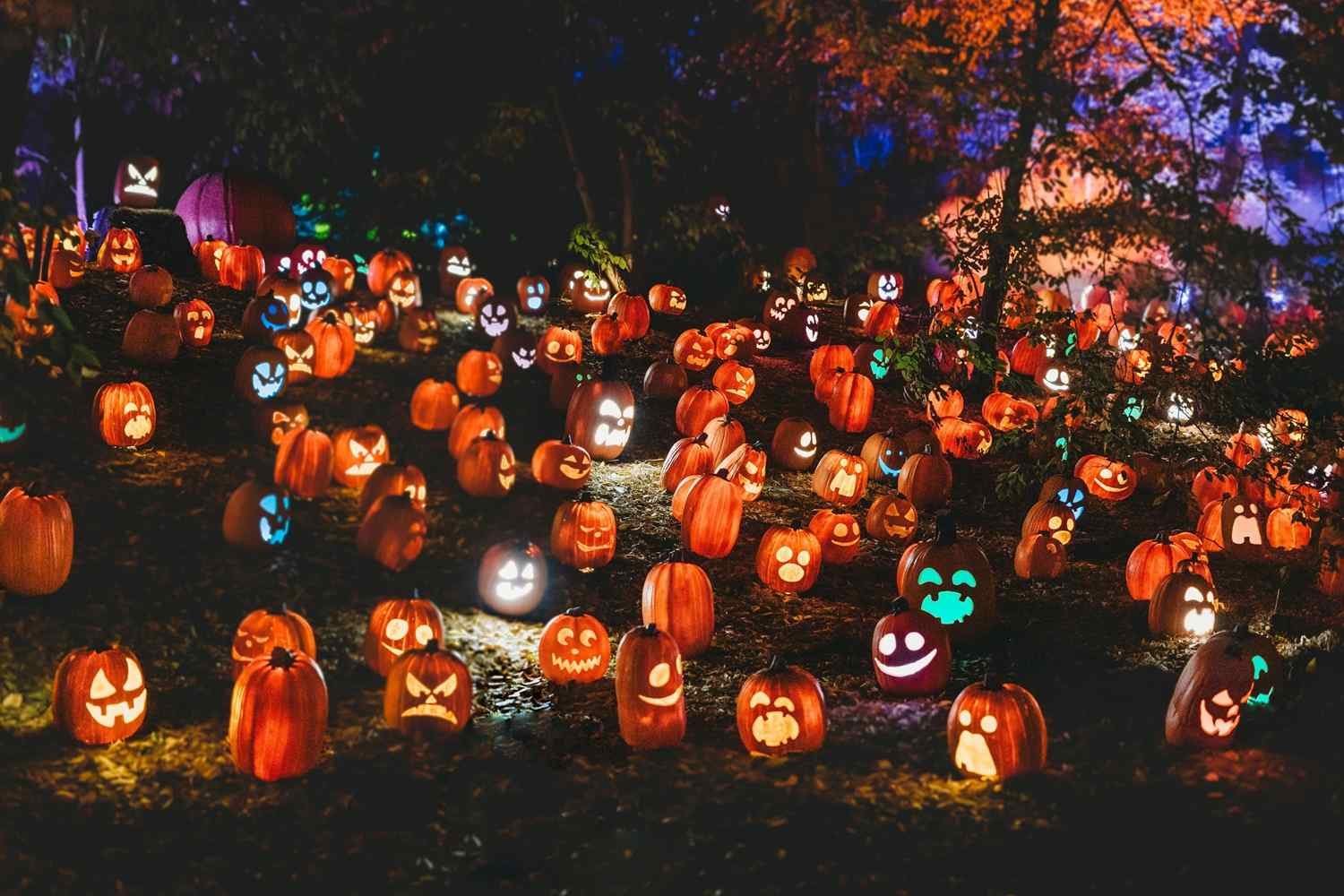 Halloween: Afterparty