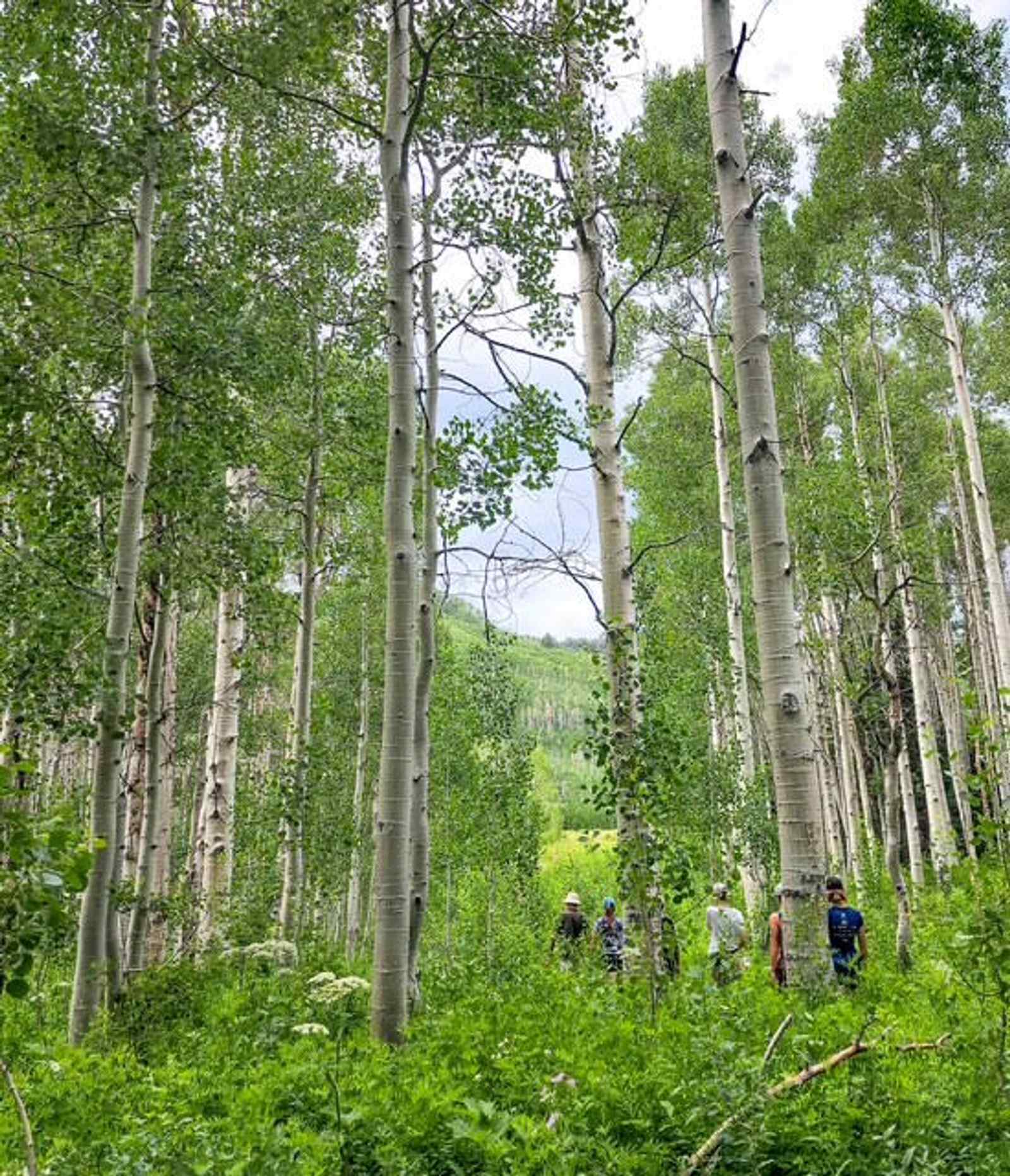 Willow Lake Hike