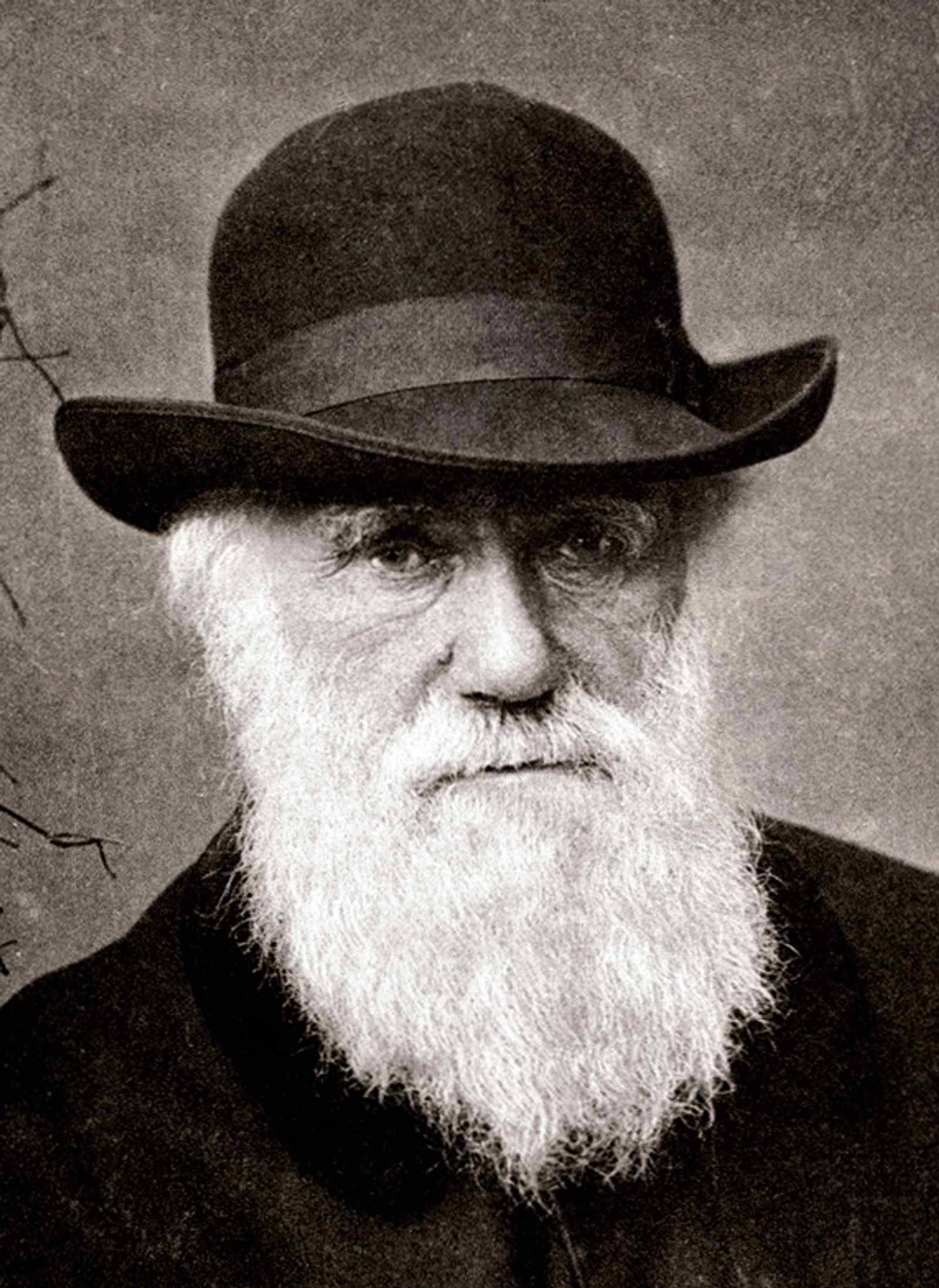Stupendous Badassery -- Some Thoughts around International Darwin Day and Valentine's Day