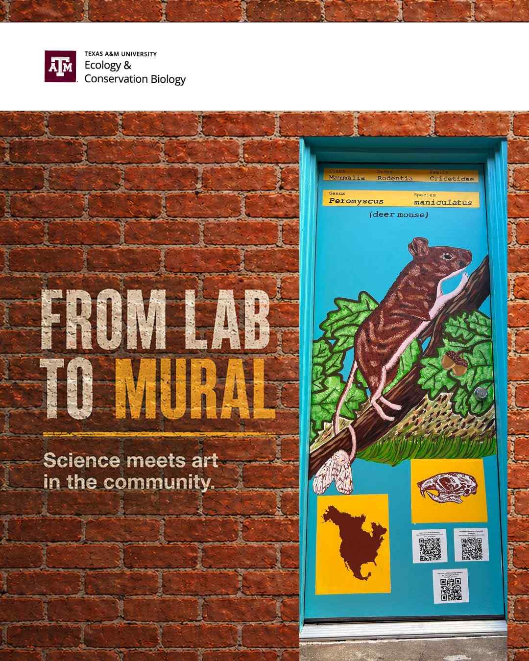 Science Meets Art in Downtown Bryan