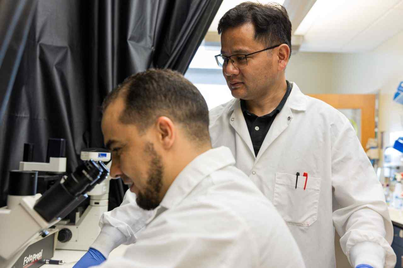 A new study from researchers at the Texas A&M College of Veterinary Medicine & Biomedical Sciences