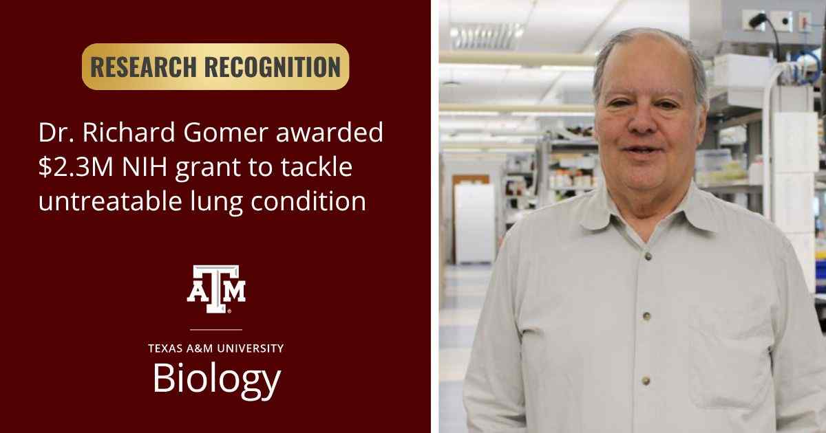 Distinguished Professor Richard Gomer Recieves Grant for Research