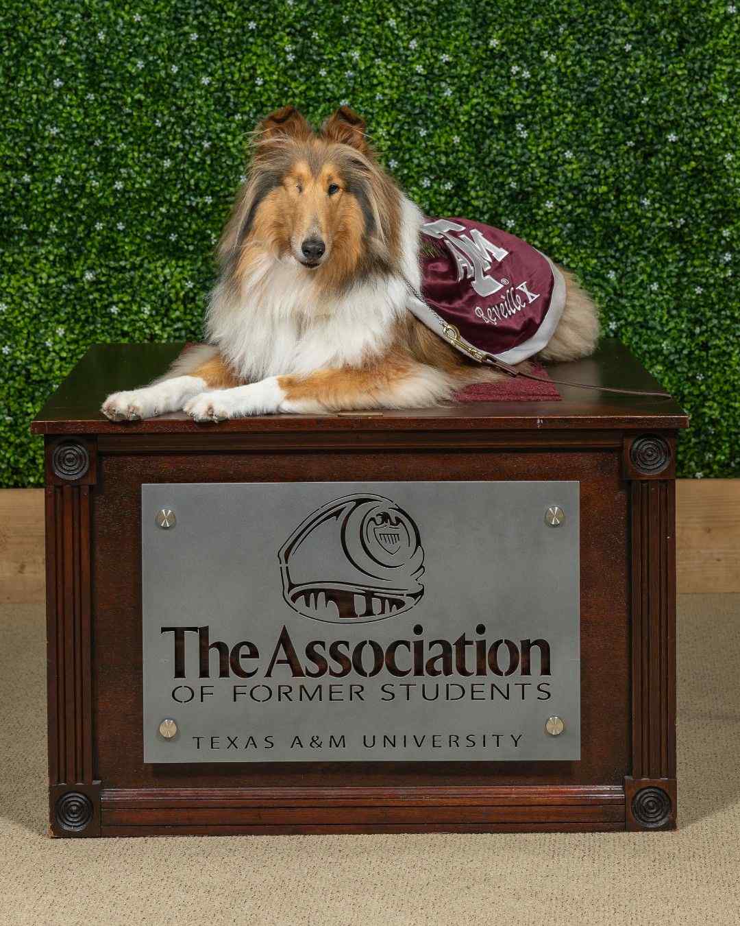 Just a reminder that the Aggie Network has a pretty good queen.