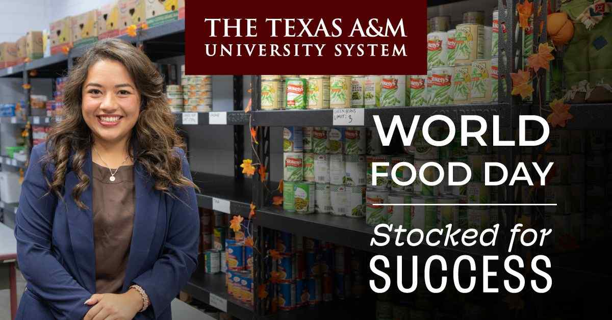 Stocked for Success