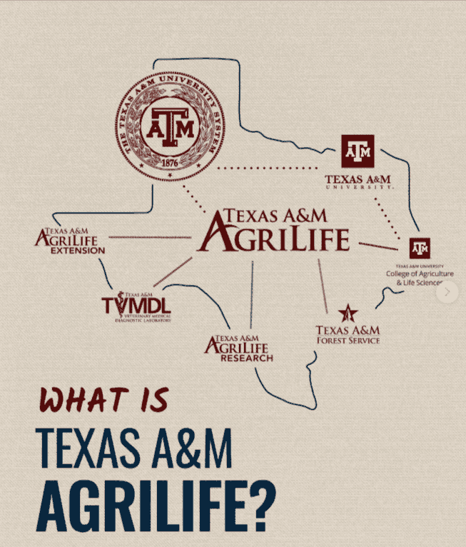 What is AgriLife?