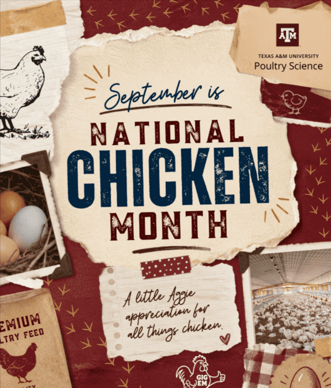 A whole month for chicken?