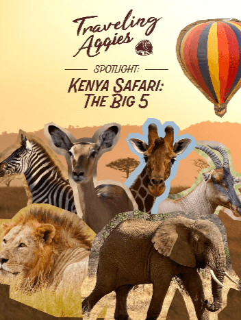 Kenya Safari: The Big 5!