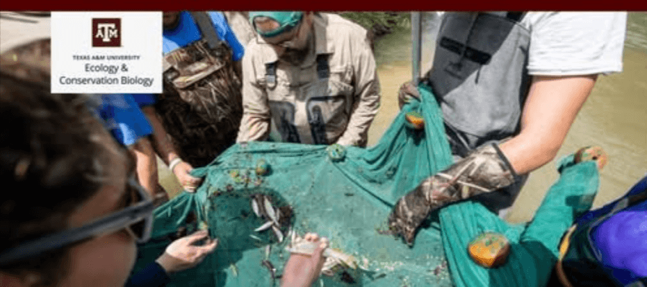 May 2026 ECCB Newsletter