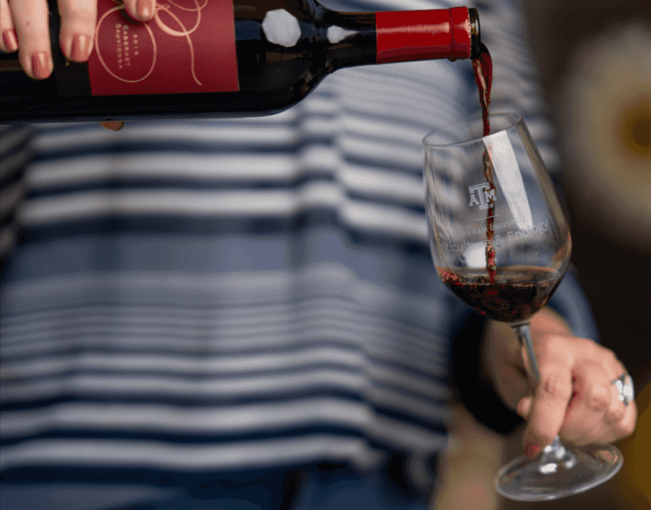 5 wine myths debunked by a Texas A&M wine scientist