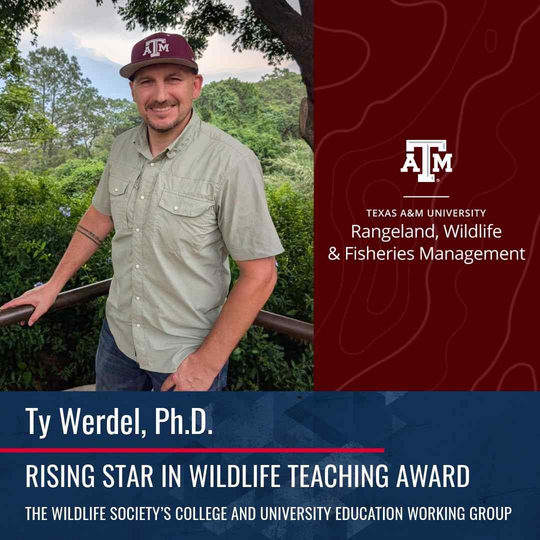 2026 Rising Star in Wildlife Teaching Award