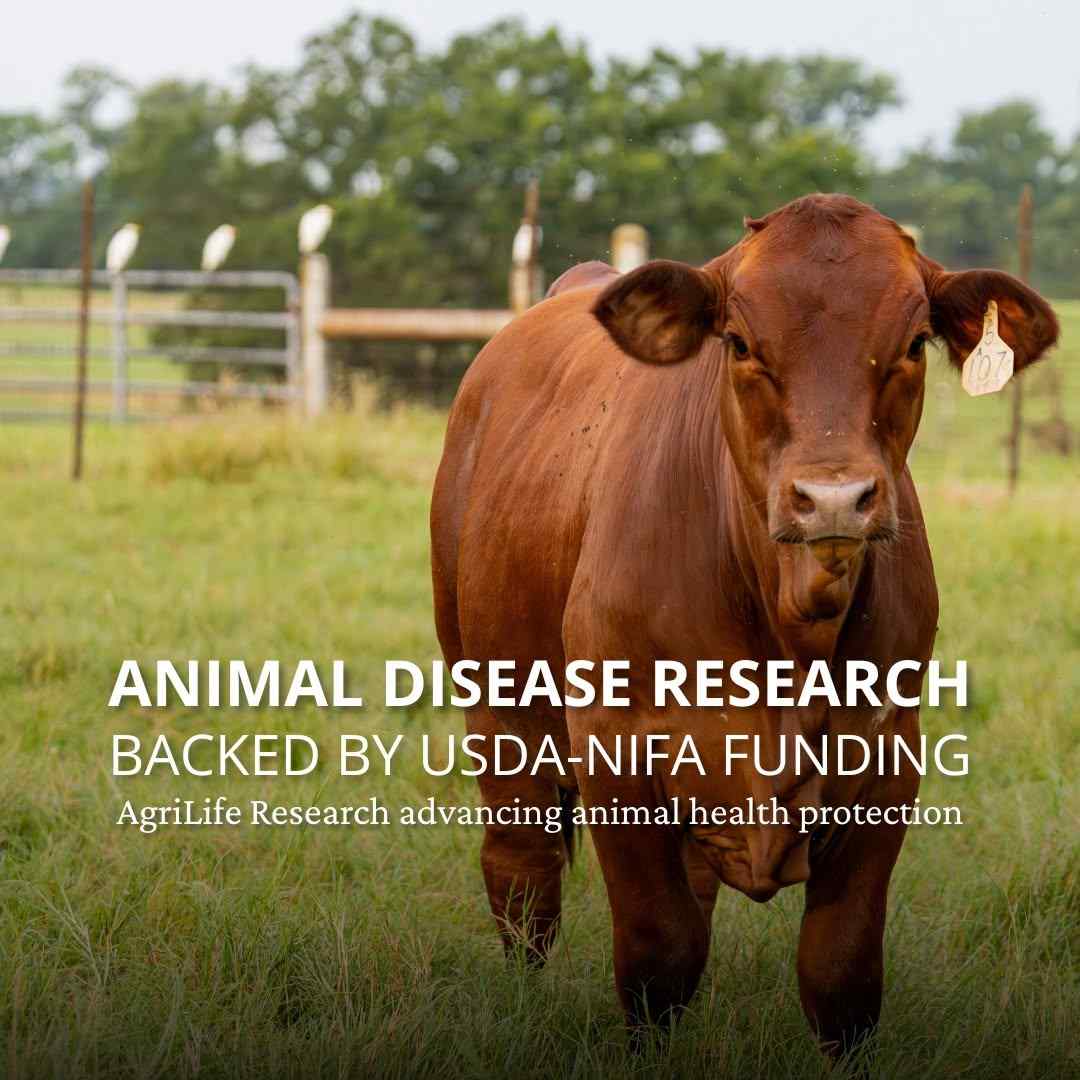 Advancing the health of agricultural animals.