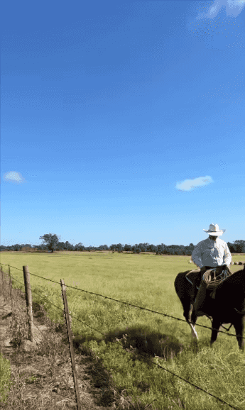 Come spend a day at Thomas Ranch