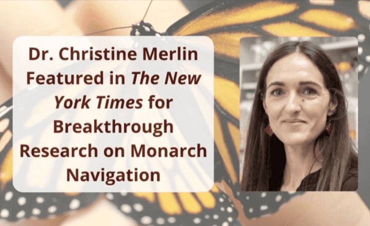 TAMU Chronobiologist Featured in New York Times