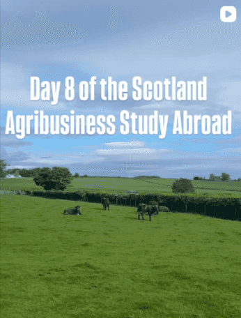 AgEc Study Abroad