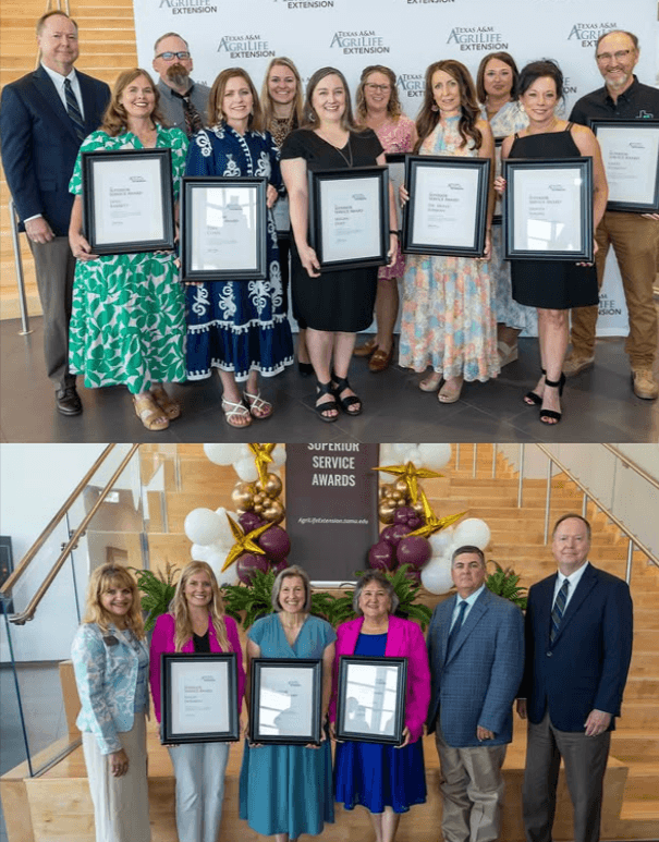 This year&rsquo;s Superior Service Award recipients