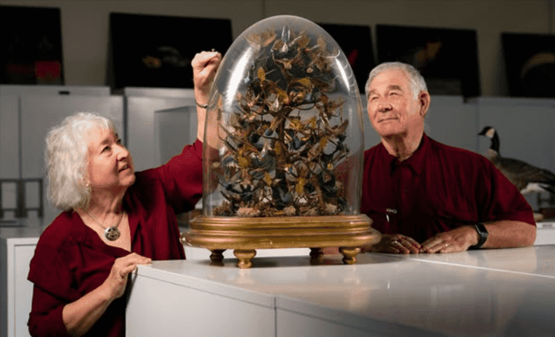 The Turners: a rare specimen of Aggie generosity