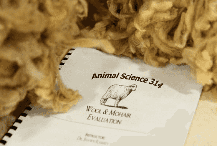 Putting wool to the test
