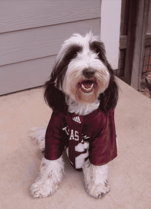 THE BEST DAY FOR THE BEST BOYS AND GIRLS