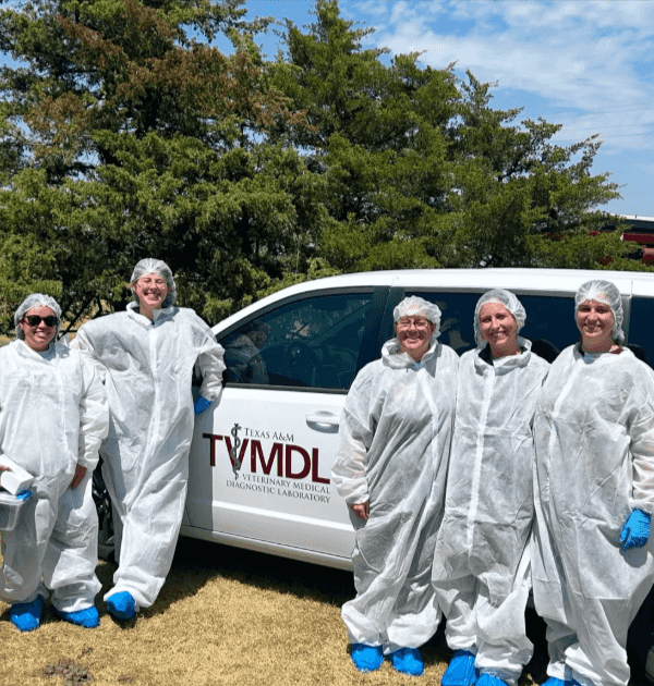 TVMDL employees visited Harper&rsquo;s Gamefarm in Booker, Texas