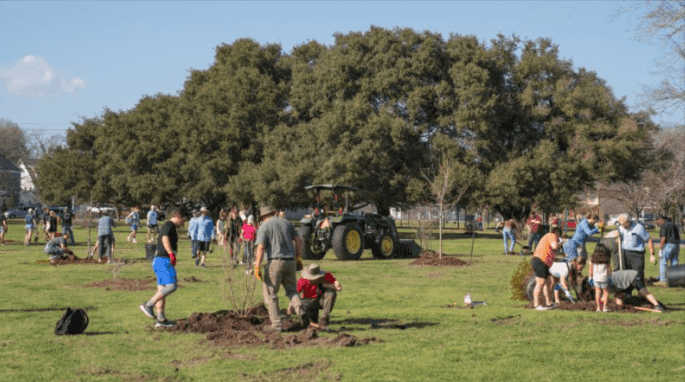 Texas A&M Forest Service awarded grant