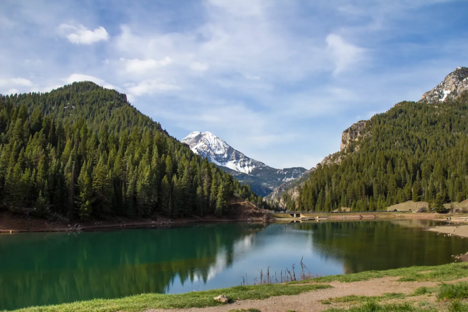 A Community of Compassion and Reason