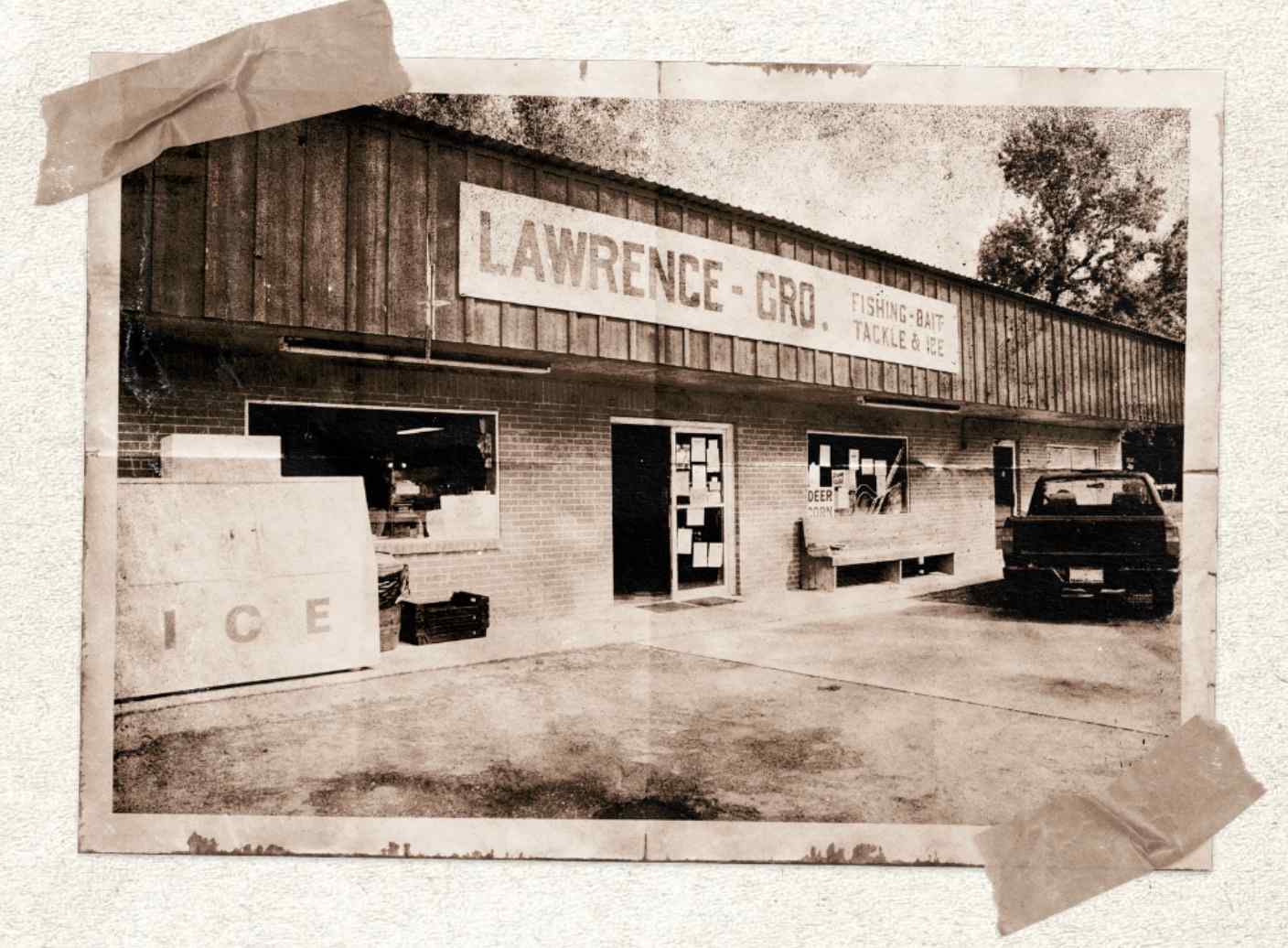 Banks Of The Trinity