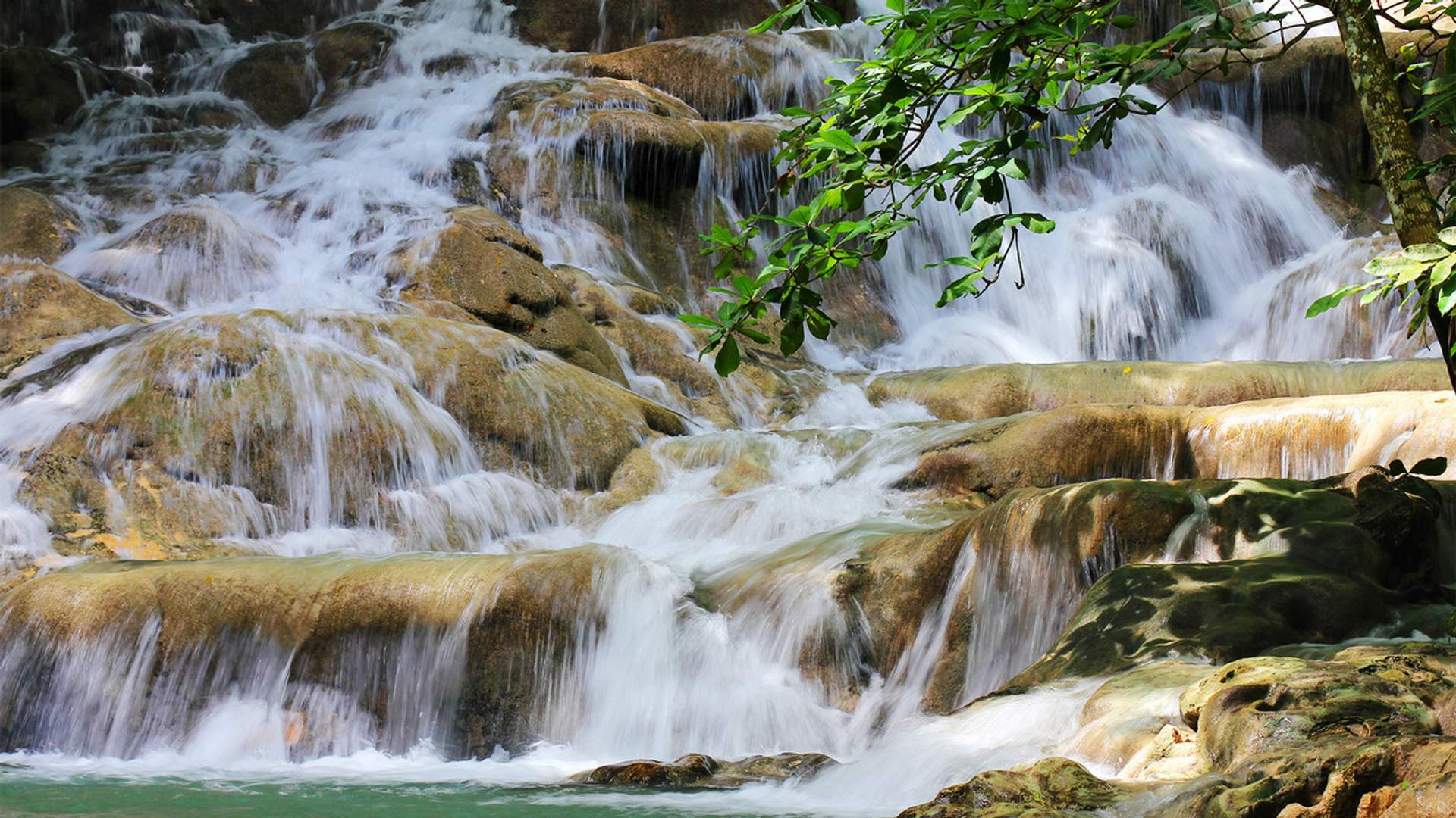 DUNN'S RIVER FALLS