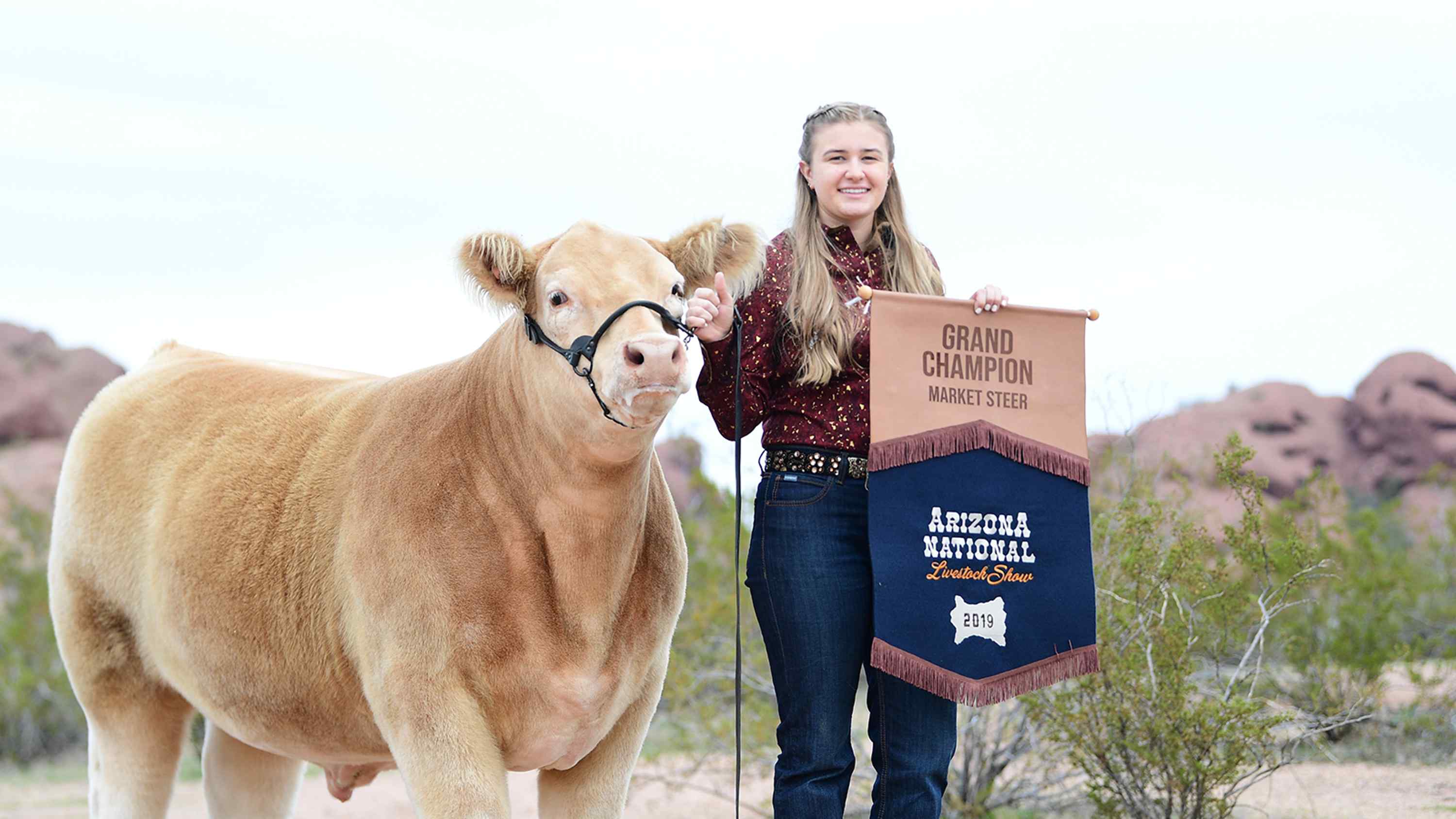 Arizona National Livestock Show Canceled