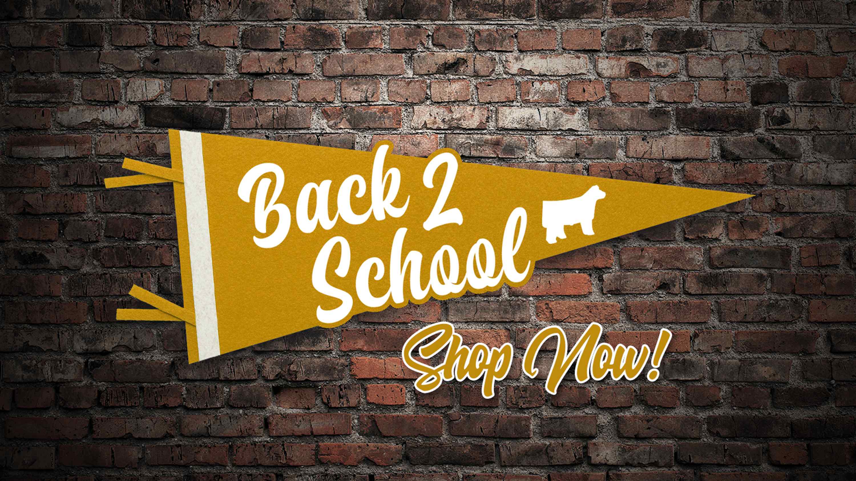 Back 2 School (Free Shipping on Orders Over $100)
