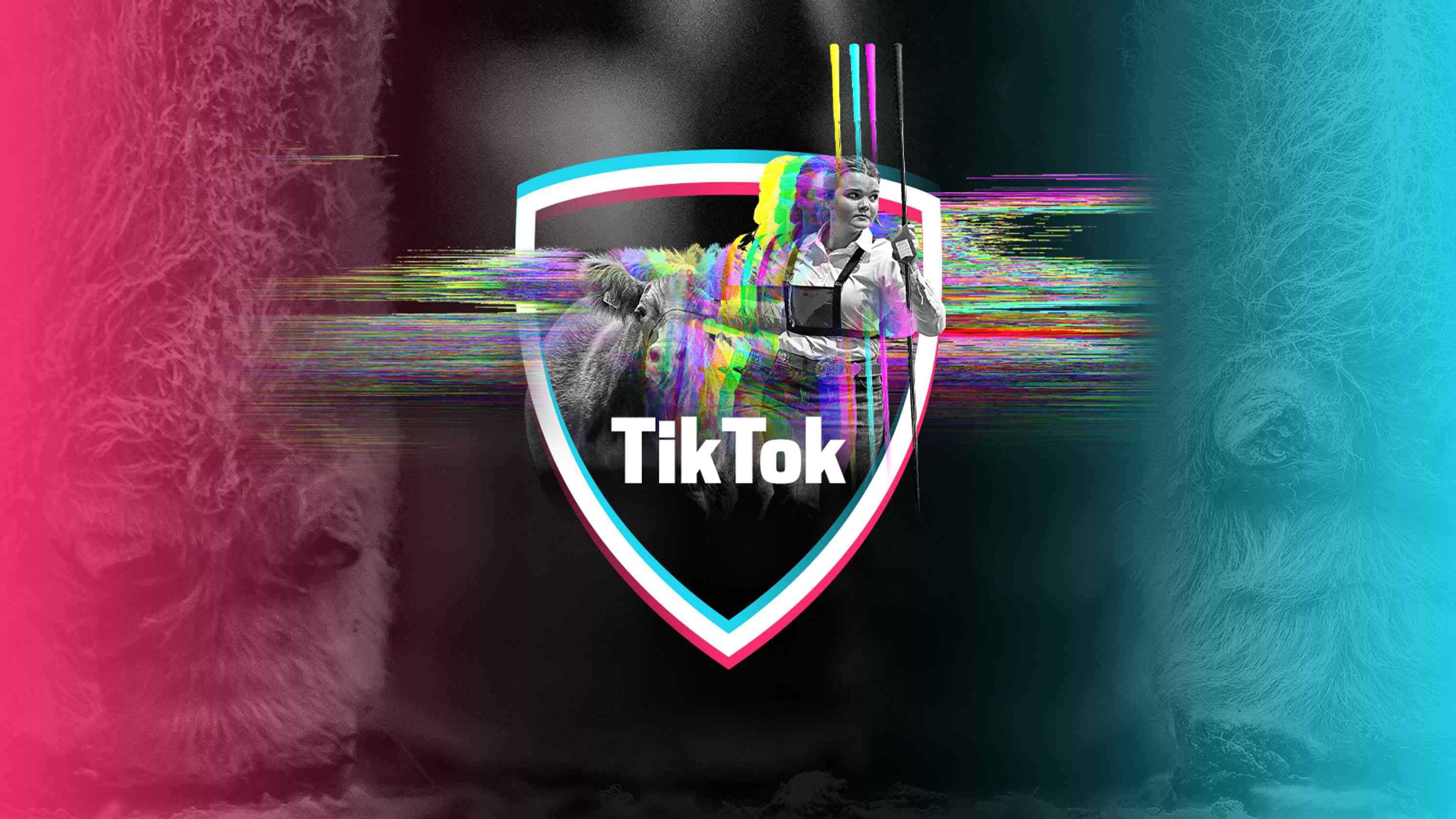 New TikTok