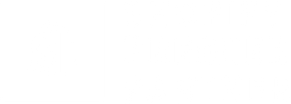 Shopify Premier Partner 