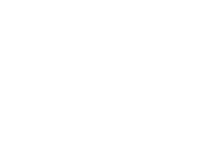 logo_blueotter.png logo_blueotter.png