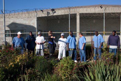 Waitkus in the garden with a group of IGP participants.