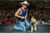 IMG_3494.JPG IMG_3494.JPG